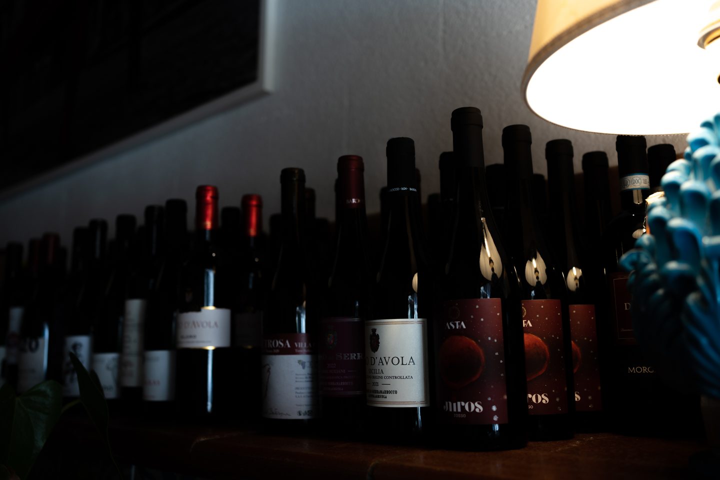Bottiglie in controluce sul bancone della cantina